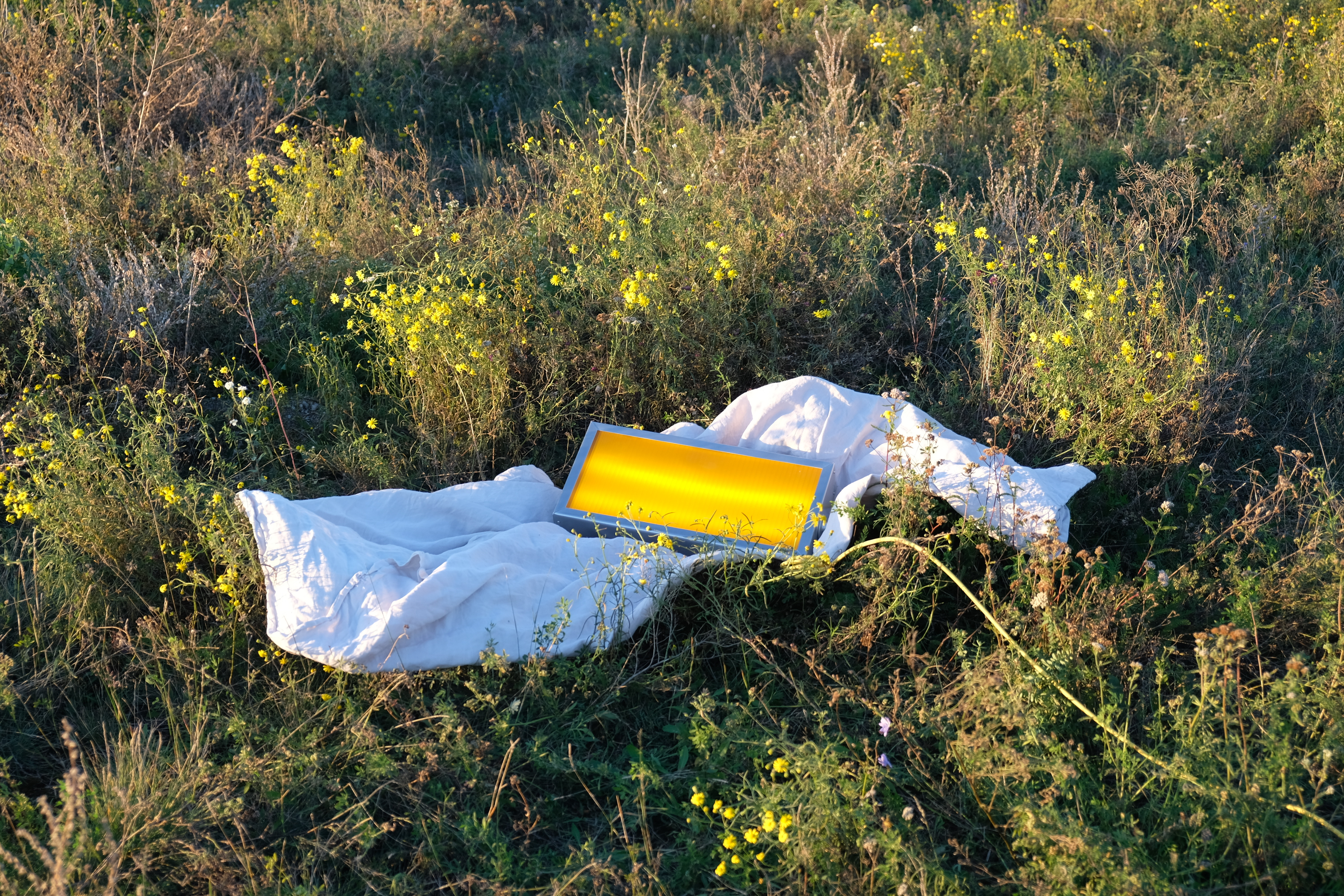 Woman with sunglasses walking down runway